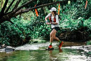 BIB: 
                            <button type="button" onclick="openModal(25269404)" class="btn btn-primary btn-sm float-right btn-popup" data-toggle="modal" data-target=".modal-high-quality">
                        <i class="fas fa-shopping-cart"></i> Add to Cart
                    </button>
                                            <button type="button" onclick="isThisMe(25269404, true)" class="btn btn-success btn-sm float-right btn-popup btn-isme hidden" data-toggle="tooltip" data-placement="bottom" title="นี่คือรูปของคุณใช่ไหม คลิกที่นี่เพื่อเอาเข้าอัลบั้ม">
                        <i class="fas fa-plus"></i> Add to album
                    </button>
                    <button type="button" onclick="isThisMe(25269404, false)" class="btn btn-warning btn-sm float-right btn-popup btn-isnotme hidden">
                        <i class="fas fa-ban"></i> Remove from album
                    </button>